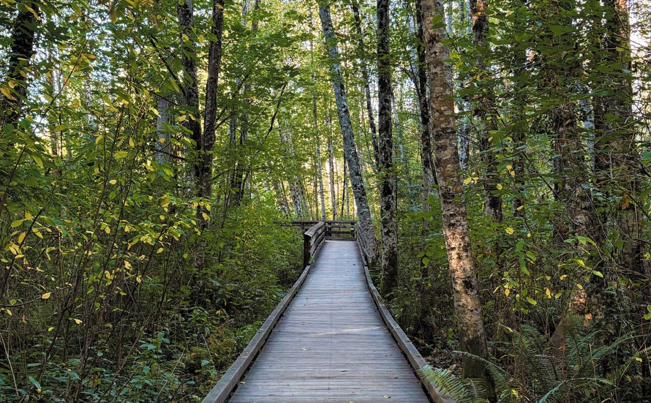 Mary E. Theler Wetlands Nature Preserve