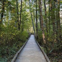 Mary E. Theler Wetlands Nature Preserve