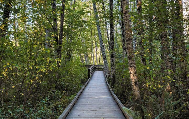 Mary E. Theler Wetlands Nature Preserve