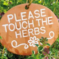 A Garden for All Senses