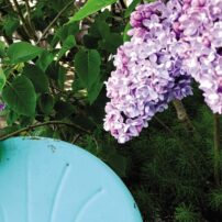 A Garden for All Senses