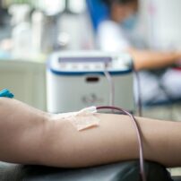 (Photo courtesy of Frank Meriño via Pexels)