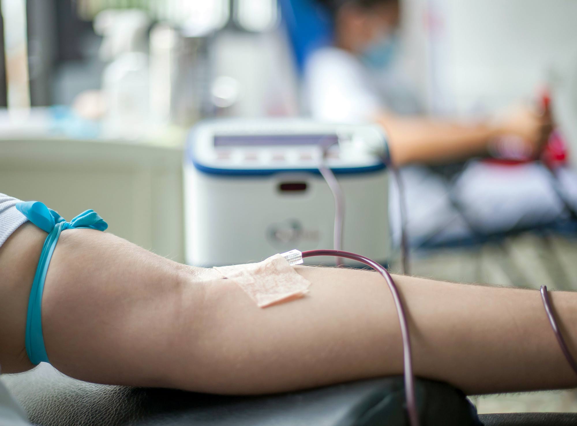 (Photo courtesy of Frank Meriño via Pexels)