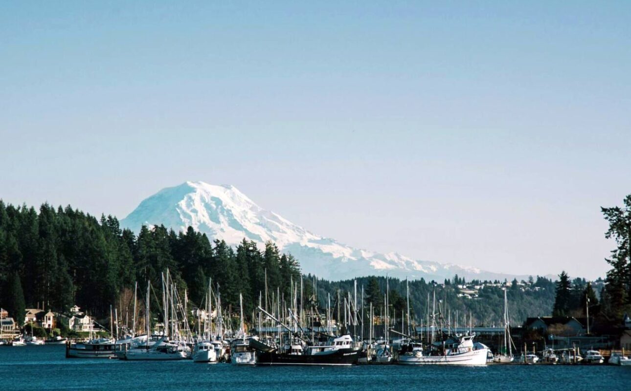 (Photo courtesy of Abigail Lynn via Unsplash)